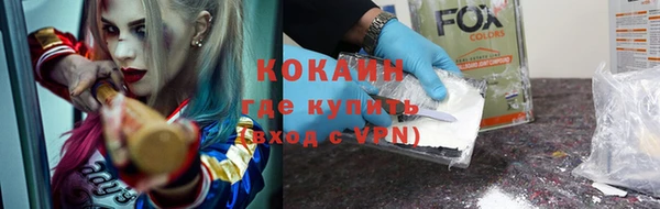 прущий лед Алзамай