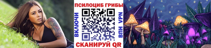 наркошоп  Бикин  Псилоцибиновые грибы мухоморы 